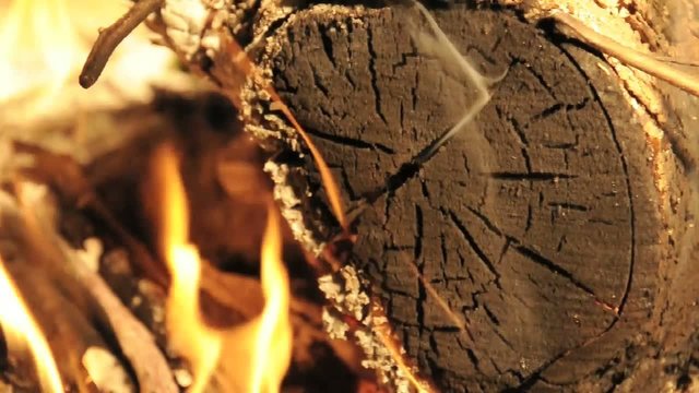 ceppo legno fiamma calore