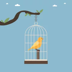 Cercles muraux Oiseaux en cages cage à oiseaux