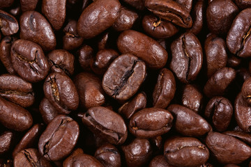 High quality fresh roasted coffee beans