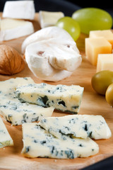 big group of cheeses