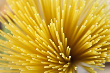 Abstract Shot of Dried Spaghetti Pasta