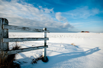 Hallig Hooge im Winter