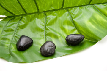 Steine auf grünen Blatt