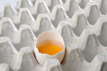 broken egg