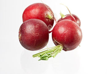 Radischen