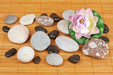 Stones and flowers