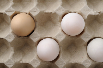 three white eggs