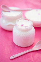 Nachtisch - Zitronencreme, Joghurt