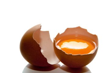 Egg