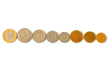 Polish zloty coins in a row isolated on white background