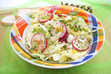 Frischer Salat