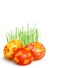 red and yellow eggs and green grass