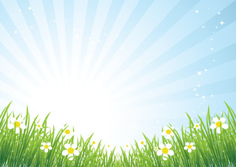 Obraz premium Spring meadow beautiful