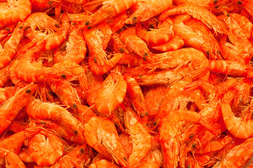 Shrimp in the market
