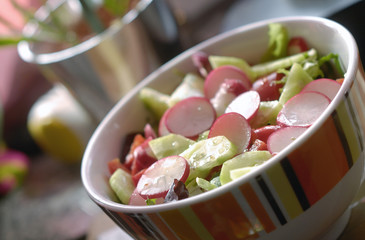 Gesunder Salat mit Radischen Paprika und Gurke