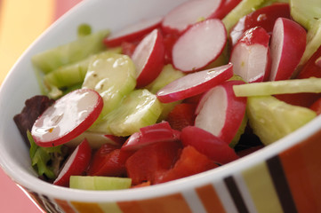 Gesunder Salat mit Radischen Paprika und Gurke