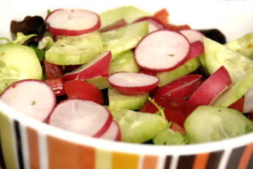 Gesunder Salat mit Radischen Paprika und Gurke