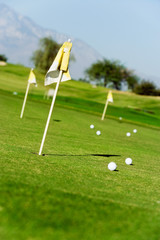 Obraz premium golf course green with flags and balls