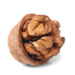 Walnut and shell