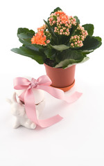 Easter eggs with  bunny and flower
