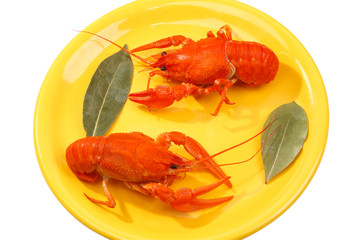 Red Boiled Crawfish on a yellow plate
