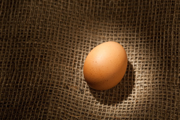 chicken egg