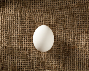 chicken egg