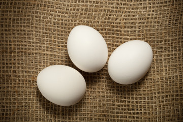 chicken eggs