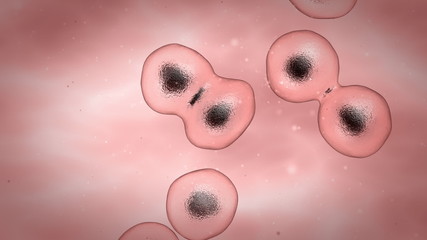 Human cell multiplied