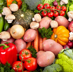 Fresh vegetables