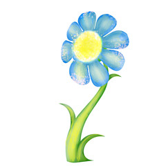 blue Flower