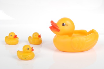 rubber duck