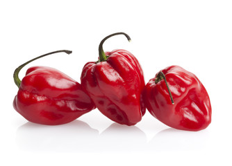 three red habanero chili peppers isolated