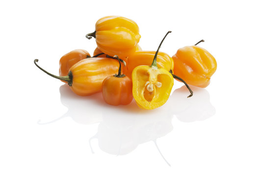 gelbe habanero chili schoten isoliert auf wei&szlig;