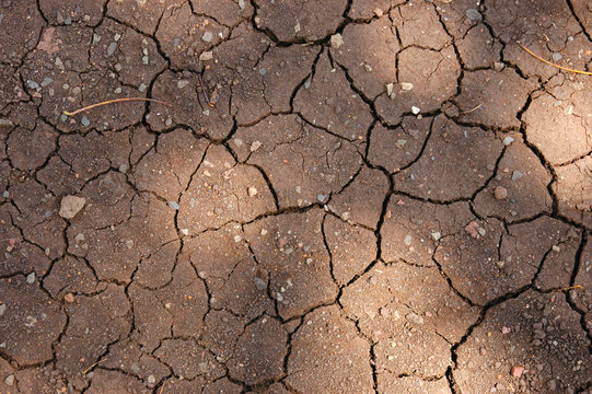 A background image of cracked earth texture