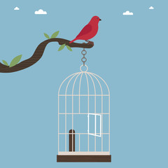 oiseau hors de sa cage
