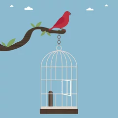 Papier Peint photo Oiseaux en cages oiseau hors de sa cage