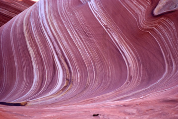 Obraz premium The Wave, Paria canyon