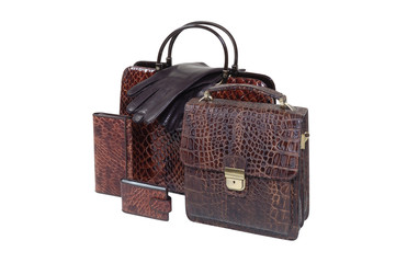 briefcase and accessories