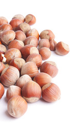 hazelnut