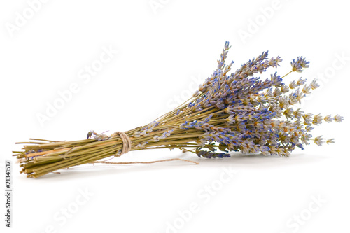 Bouquet De Lavande Séchée Sur Fond Blanc Fleur Lavandula