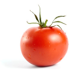 fresh tomato