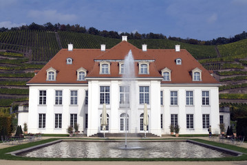 Fototapeta na wymiar Sächsisches Staatsweingut Schloss Wackerbarth, Radebeul