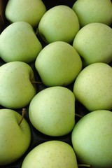Green apples in rows