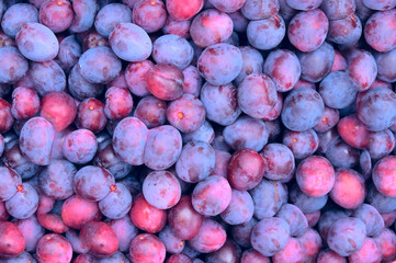 Plums as background