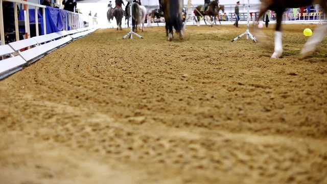 Panorama on cossack ride