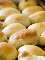 Pies