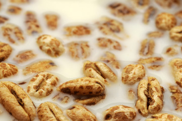 Cereale soffiato nell latte