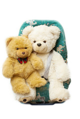 Bears in an automobile armchair