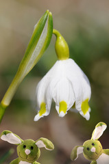zwei Osterhasen unterm M&auml;rzenbecher